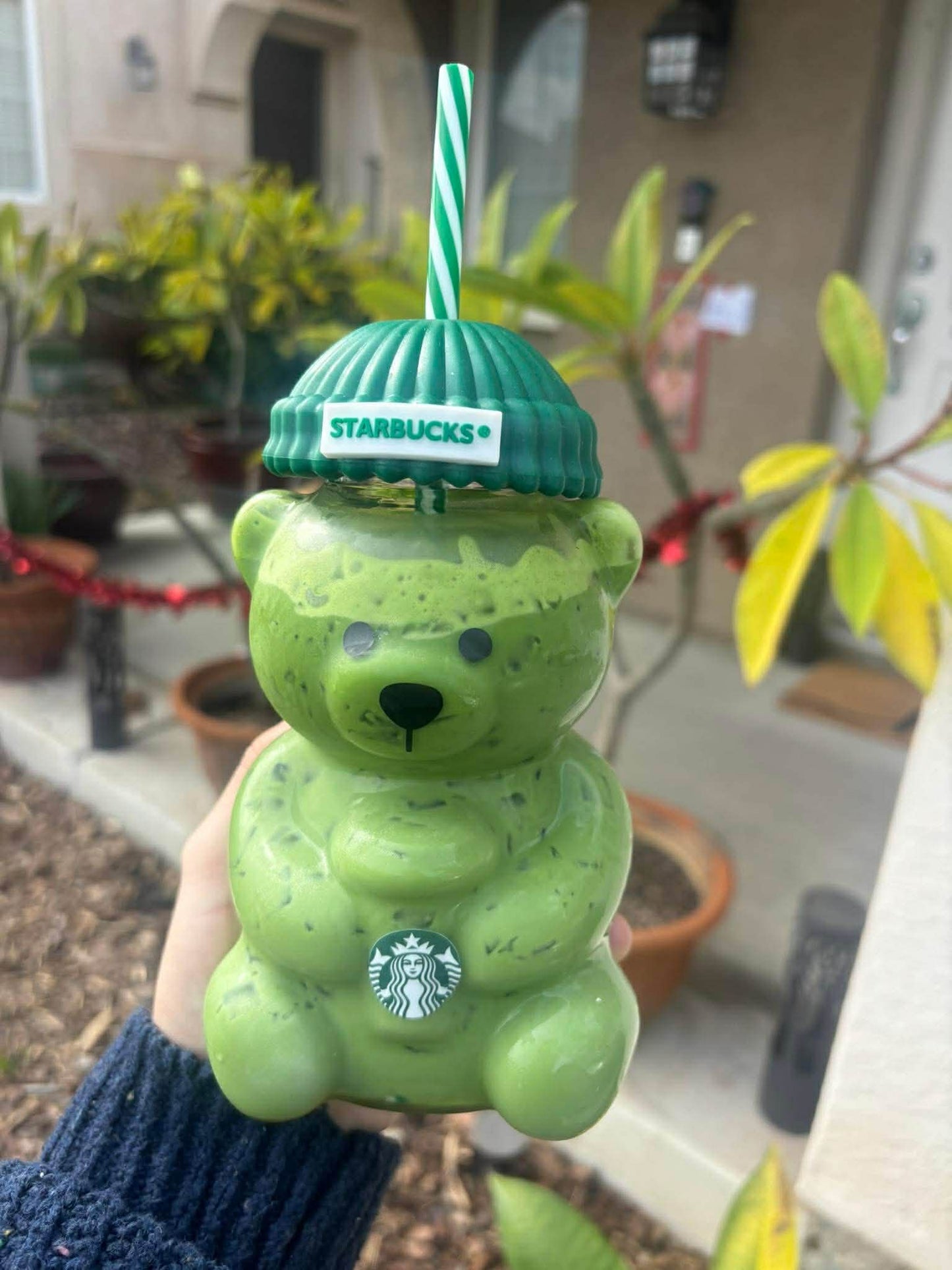 Glass Bear Tumbler